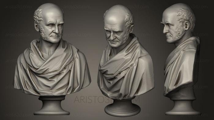 Busts and bas-reliefs of famous people (BUSTC_0099) 3D model for CNC machine